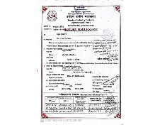 Tourism Industry Division certificate