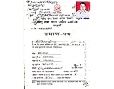 Industry Registration Certificate certificate