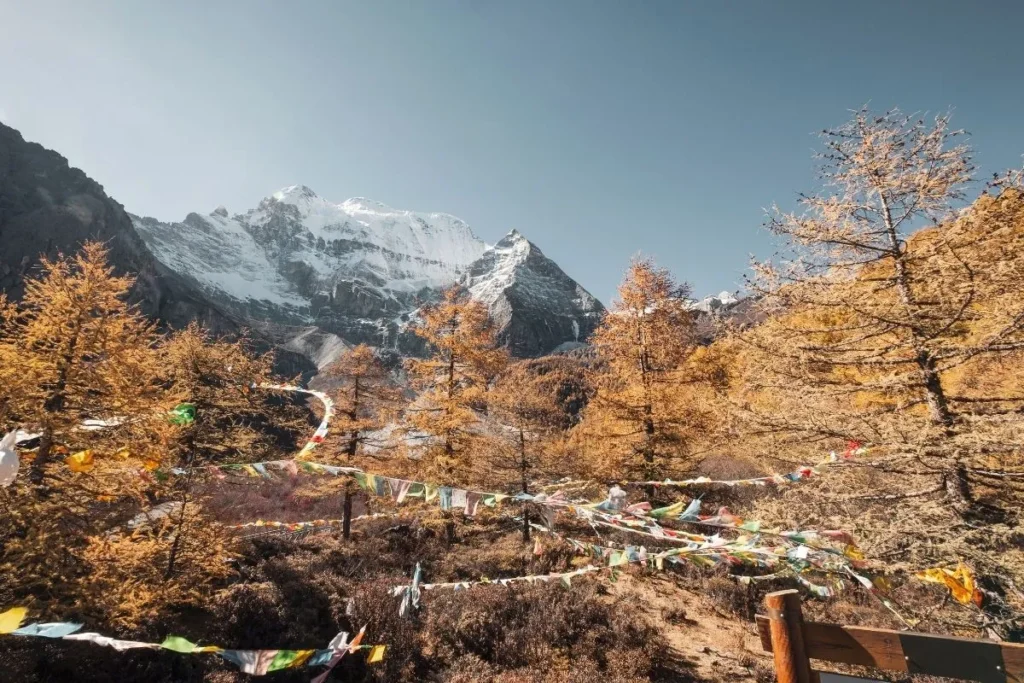 Chulu East Peak Climbing: Difficulty, Cost, Route & Best Time